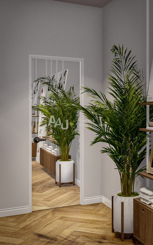 Thiết kế spa đẹp