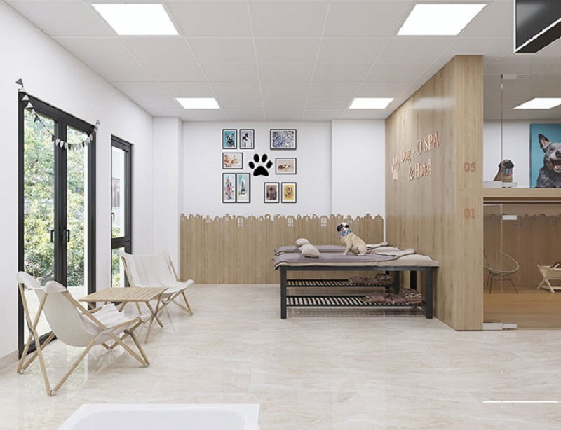 thiết kế spa thú cưng