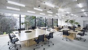 thiết kế văn phòng 80m2
