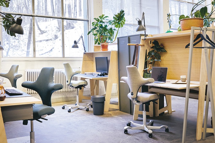 thiết kế văn phòng xanh