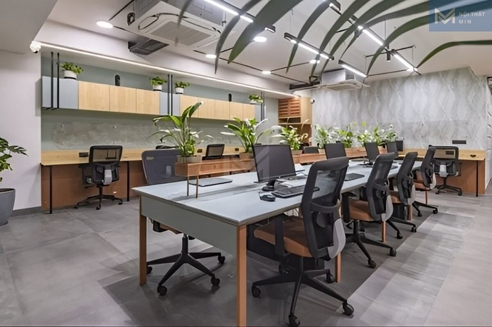 thiết kế văn phòng tư vấn du học 