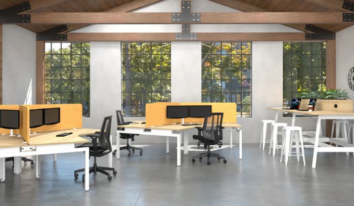 Thẩm mỹ và phong thuỷ